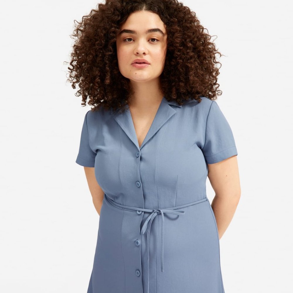 Everlane Japanese GoWeave Notch Shirt Dress 14